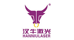 漢牛激光